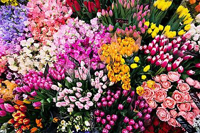 地底探索建造游戏《地心归途》Steam测试现已开启